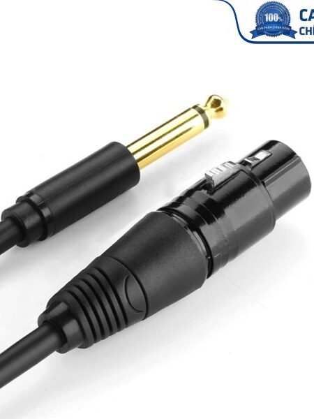 Cáp chuyển đổi từ 6.5mm sang AV Cannon (XLR) âm dài 15M chính hãng Ugreen 20725 cao cấp