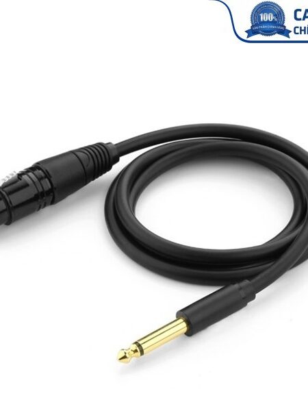 Cáp chuyển đổi từ 6.5mm sang AV Cannon (XLR) âm dài 15M chính hãng Ugreen 20725 cao cấp