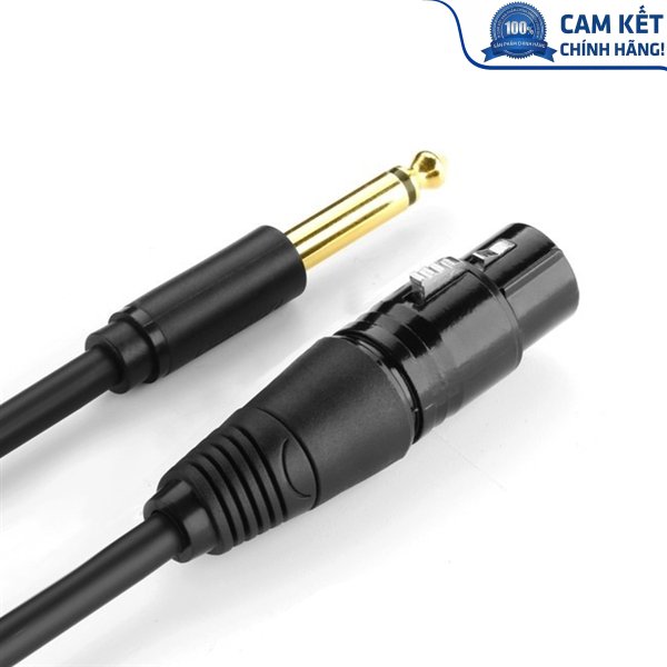 Cáp chuyển đổi từ 6.5mm sang AV Cannon (XLR) âm dài 3M chính hãng Ugreen 20720