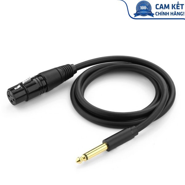Cáp chuyển đổi từ 6.5mm sang AV Cannon (XLR) âm dài 3M chính hãng Ugreen 20720