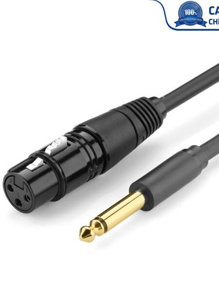 Cáp chuyển đổi từ 6.5mm sang AV Cannon (XLR) âm dài 3M chính hãng Ugreen 20720