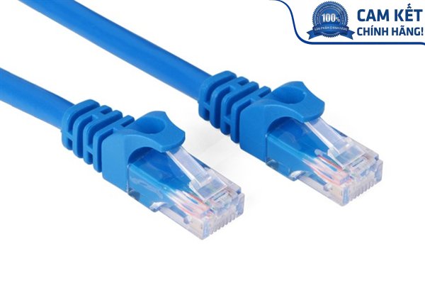 Cáp mạng đúc sẵn Cat6 25m chính hãng Ugreen 11208 cao cấp